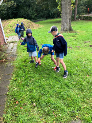 Sint-Martinus den XIIde - september-oktober